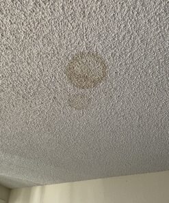 Zinnser 03688 Covers Up Stain Sealing Ceiling Paint, White 13 Ounce (Pack of 1) Spray Can 54 91sbYlkjTEL