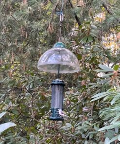 Squirrel Buster Legacy Squirrel-proof Bird Feeder w/4 Metal Perches, 2.6-pound Seed Capacity garden green 28 91sju pe OL
