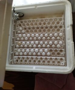 Little Giant® Quail Rails | 120 Eggs | Turner Equipment for Incubating Small Eggs | Quail Egg Incubator 17 91snzM9x3sL