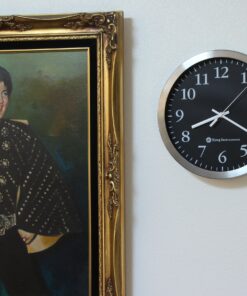 Bjerg Instruments Modern 12" Stainless Silent Wall Clock with Non Ticking Quiet and Accurate Movement 23 91stAakxwOL