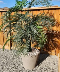 Nearly Natural 5390 Areca Palm UV Resistant Tree, 6.5-Feet, Green,85" x 9" x 9" 85" x 9" x 9" 25 91tA9M9jrL