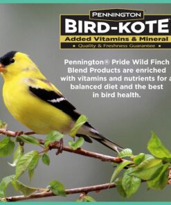 Pennington Pride Wild Finch Blend Wild Bird Seed , 10 lb 12 91tALTxWbL