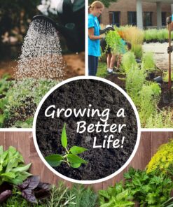 22,000 Non GMO Heirloom Vegetable Seeds, Survival Garden, Emergency Seed Vault, 34 VAR, Bug Out Bag - Beet, Broccoli, Carrot, Corn, Basil, Pumpkin, Radish, Tomato, More 29 91tVepVxLJS