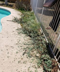 BLACK+DECKER 20V MAX Cordless String Trimmer, 2 in 1 Trimmer and Edger, 12 Inch, Battery Included (LST300) 20V String Trimmer Kit 41 91tWAE7buL