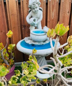 Jebao PP333 Table Top 66gph Fountain Pump, 2.5w 9 91tcX1T4dL