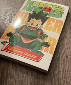 Hunter x Hunter, Vol. 1 Paperback 27 91td4nppBkL