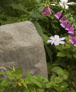 Emsco Group Landscape Rock – Natural Sandstone Appearance – Small – Lightweight – Easy to Install 26 91tfFDuiLpL