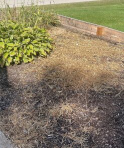 Roundup Concentrate Extended Control Weed & Grass Killer Plus Weed Preventer II Large Concentrate 17 91tm HABjiL