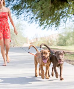 WIGZI (2 Two Dog Reflective Retractable Pet Leash – 360 Degree Zero Tangle Patent - Two Dogs Each up to 50 lbs and 10ft. Reflective Orange and Green Leads. Dual Locking, Small, Gray 23 91tqs6rQSgL