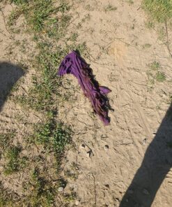 FIRST ALERT AUTO5 Car Fire Extinguisher, FESA5, UL RATED 5-B:C, Red, 1-Pack 28 91tuylan5CL