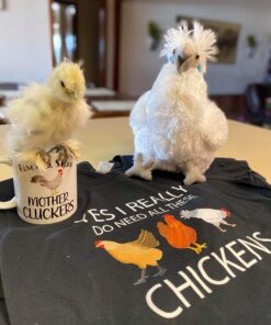 Adore 12" Standing Puffy The Silkie Chicken Plush Stuffed Animal Toy 23 91twVGa3MpL