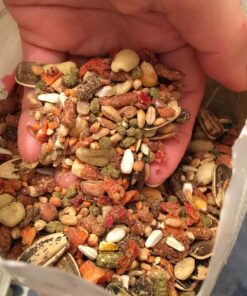 Manna Pro Harvest Delight - Whole Ingredient Chicken Treat - Harvest Mix of Grains, Raisins, Tomatoes, Carrots, Sunflower Seeds - Mixed Flock Poultry Treat - 2.5 lbs 30 91twmS3Pg2L