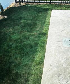 Lawnlift Ultra Concentrated (Green) Grass Paint 8oz. = 2.5 Quarts of Product. 22 91tyecF1sYL