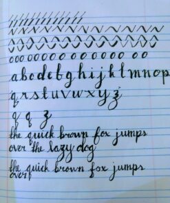 Tombow 62038 Fudenosuke Brush Pen, 2-Pack. Soft and Hard Tip Fudenosuke Brush Pens for Calligraphy and Art Drawings 2 Count (Pack of 1) Black 43 91tzNC3oeLL