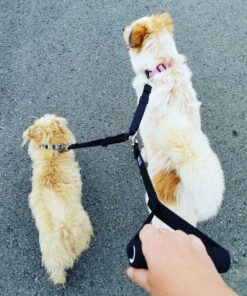 Leashboss Heavy Duty Double Dog Leash Coupler for Large Dogs - 11-20 Inches - Adjustable 1 Inch Nylon Splitter for Two Big Dogs (1 Inch Wide x 11-20 Inches, Black) 11-20 Inch 16 91u5mf696aL