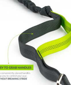 Tuff Mutt Hands Free Dog Leash For Running That Makes A Great Waist Leash for Dog Walking, Double Handle Bungee Leash with Reflective Stitching and Adjustable Dog Walking Belt green/gray 31 91u60OR3BrL
