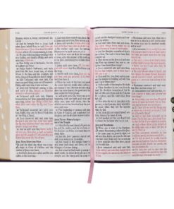 KJV Holy Bible, Giant Print Full-size Faux Leather Red Letter Edition - Thumb Index & Ribbon Marker, King James Version, Purple Floral Leather Bound 27 91uCC0 qtAL