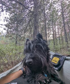 Wise Owl Outfitters Camping Hammock - Camping Essentials & Camping Gifts, Portable Hammock Single or Double Hammock for Outdoor, Indoor w/Hammock Straps Black & Grey Medium 33 91uEFx08qQL