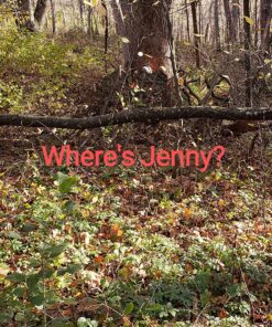 GhostBlind 4-Panel Predator Blind, Silver 38 91uF vB2xL