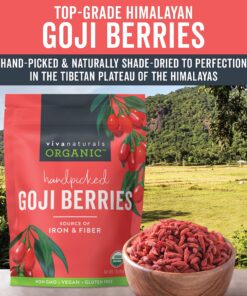 Organic Dried Goji Berries - Non-GMO and Vegan Goji Berries Organic, Perfect for Baking, Teas and Healthy Snacks for Adults (1 lb) 1 Pound (Pack of 1) 23 91uMbHBcrTL
