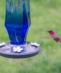 Perky-Pet Sapphire Starburst Vintage Glass Hummingbird Feeder 8129-2 13 91uNfNBK72L