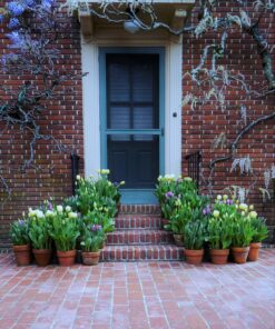 STK EN-EL14 EN-EL14a Battery Pack for Nikon D3200 D3400 D3500 D3300 D3100 D5100 D5200 D5500 D5600 D5300 EL14 EL14A ENEL14 ENEL14A EN EL 14 14a D 3200 3300 3400 3500 3100 5100 5200 5500 5600 Grip 46 91uTOhjrDfL