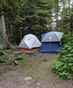 Coleman Sundome Camping Tent, 2/3/4/6 Person Dome Tent with Snag-Free Poles for Easy Setup in Under 10 Mins, Included Rainfly Blocks Wind & Rain, Tent for Camping, Festivals, Backyard, Sleepovers Navy Blue 2 Person 62 91uUG1SQO6L 1