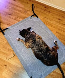 COOLAROO The Original Cooling Elevated Dog Bed, Indoor and Outdoor, Large, Grey 51.0"L x 31.5"W x 8.0"Th 42 91ubtrO5s8L