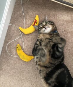Yeowww! Yellow Banana Catnip Toy (2 Pack) 21 91utNr0wLSL