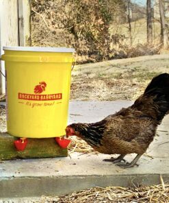 Backyard Barnyard Vertical 4 Pack NO PECK Poultry Waterer Drinking Cup for Chicken Ducks Quail 13 91uvfDu6arL