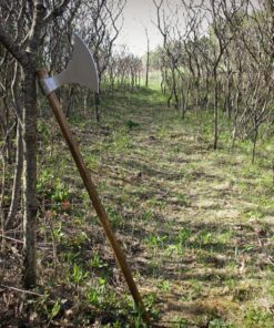 Cold Steel Viking Battle Axe Viking Great Axe 39 91uwRpOpZBL