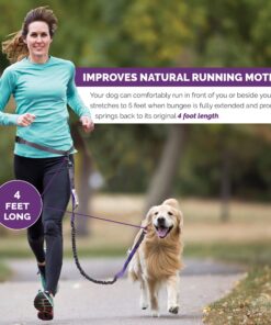 Tuff Mutt Hands Free Dog Leash For Running That Makes A Great Waist Leash for Dog Walking, Double Handle Bungee Leash with Reflective Stitching and Adjustable Dog Walking Belt green/gray 26 91uxbbbx0YL