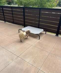 COOLAROO The Original Cooling Elevated Dog Bed, Indoor and Outdoor, Medium, Grey 42.0"L x 25.5"W x 8.0"Th 33 91v3Lum6bPL