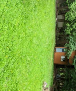 Greenworks 40V 16" Cordless (Push) Lawn Mower (75+ Compatible Tools), 4.0Ah Battery and Charger Included 16" Mower (4.0Ah) 50 91v89B9WCmL