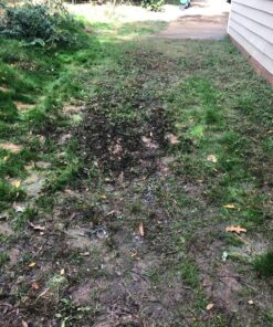 Scotts Turf Builder WinterGuard Fall Weed & Feed3, Weed Killer Plus Fall Fertilizer, 5,000 sq. ft., 14.29 lbs. 5,000 sq. ft. 37 91vE7 BnPLL