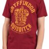 Harry Potter Gryffindor Quidditch Adult T-Shirt Red Large