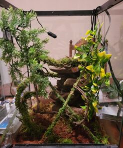 Galápagos (05320) Mossy Terrarium Sticks 18" (Pack of 6) 18" Green 14 91vRP6jDx2L