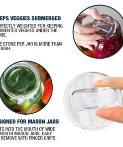 Fermentology Sauer Stone Glass Weights – Pickling and Fermenting Weights - Set of 4 - Wide Mouth Mason Jar Fermentation Wide Mouth 4PK 8 91vq5fblSlL