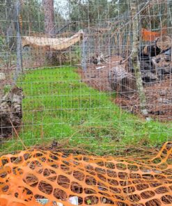 Whitetail Institute No-Plow Deer Food Plot Seed - Hardy, Fast-Growing Blend of Annuals for Areas Difficult to Access with Farming Equipment - Highly Nutritious and Attractive to Deer 9-Pound (.5 acre) 15 91vr8ETXGL