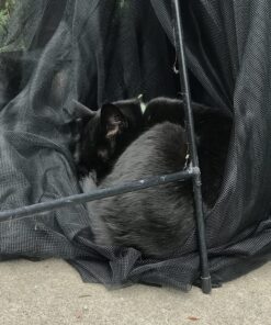 Ideaworks Umbrella Table Screen 9 Feet 35 91vvMAe0LCL