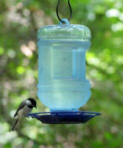 Perky-Pet 780 Outdoor Hanging Water Cooler Bird Waterer and Dispenser,Blue, 1.5 Qt Capacity 32 91vxeycfXbL