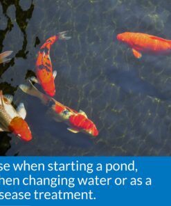 API POND SALT Pond Water Salt 4.4-Pound Container (156C) 1 10 91vyCKj5zL 1