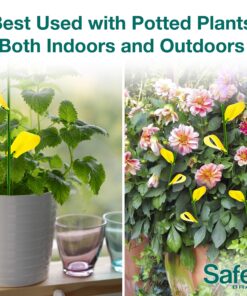 Safer Brand 5026 Houseplant Sticky Stake Insect Traps for Indoor Plants - Controls Fungus Gnats, Whiteflies, Midges, Thrips, Fruit Flies, and Black Flies - 1 Pack, 7 Traps 24 91w r11TN0L