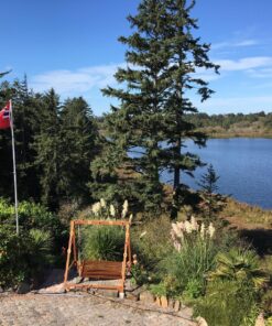 Annin Flagmakers Mode 196446 Norway Flag USA-Made to Official United Nations Design Specifications, 3 x 5 Feet, Multicolor 11 91w2QnYLb3L