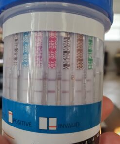 Stinger Detox Buzz 5X Extra Strength Drink – Grape Flavor – 8 FL OZ - 2 Pack 8 Fl Oz (Pack of 2) 33 91w7b8ow5RL