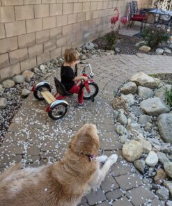 Schwinn Roadster Bike for Toddler, Kids Classic Tricycle, Low Positioned Steel Trike Frame with Bell and Handlebar Tassels, Rear Deck Made of Genuine Wood, for Boys and Girls Ages 2-4 Year Old, Red 31 91wHsBiRC4L 1