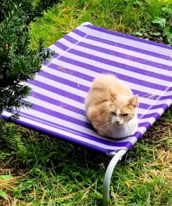 Purina Fancy Feast Grilled Wet Cat Food Seafood Collection in Wet Cat Food Variety Pack - (24) 3 oz. Cans Seafood Variety Pack - 24 Ct. 3 Ounce (Pack of 24) 41 91wT4RTXVqL