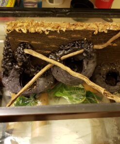 Great Stuff 283064 12OZ GS Pond&Stone Foam Sealant, Each, Black Pond & Stone 48 91wUXED6KLL