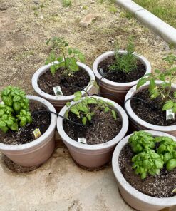 Orbit 21004 B-hyve Smart Hose Faucet Timer with Wi-Fi Hub, Compatible with Alexa,Gray 21004 Faucet Timer with Wi-Fi Hub 44 91wVeLX doL