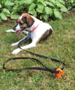 Orange Screw: The Ultimate Ground Anchor | Small 4 Pack Tent Stakes | Made in USA Orange 28 91wWBizwyDL